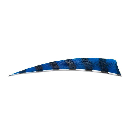 Buck Trail Feathers 5in Shield (pk/24) Barred