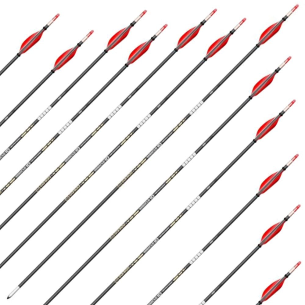 Sanlida Miracle 10 READY BUILT ARROWS (doz)