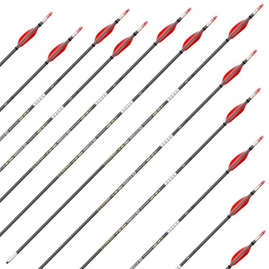 Sanlida Miracle 10 READY BUILT ARROWS (doz)